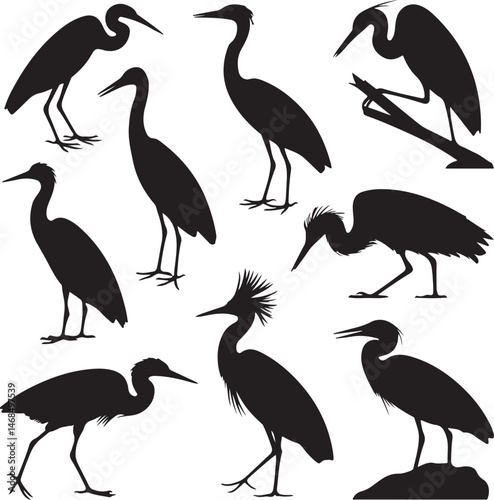 Heron Silhouette Vector – Elegant Wetland Bird Design

Graceful Heron SVG – Flying and Standing Poses

Majestic Heron Clipart – Nature & Wildlife Art

Minimalist Heron Outline – Bird Lovers’ Design

H
