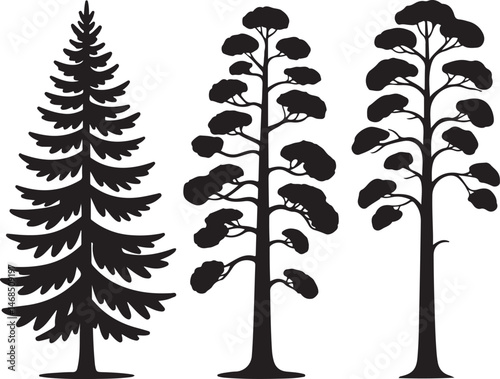 Tall Pine Tree in Forest Silhouette

Lone Pine on Mountain Vector Scene

Minimal Evergreen Tree Design

Rustic Pine Tree Line Art

Winter Pine Tree Silhouette