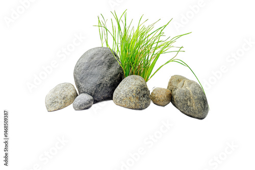 Rendered agave pot transparent-background.png