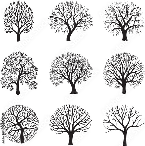 Tall Pine Tree in Forest Silhouette

Lone Pine on Mountain Vector Scene

Minimal Evergreen Tree Design

Rustic Pine Tree Line Art

Winter Pine Tree Silhouette
