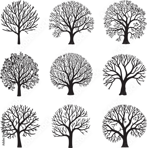 Tall Pine Tree in Forest Silhouette

Lone Pine on Mountain Vector Scene

Minimal Evergreen Tree Design

Rustic Pine Tree Line Art

Winter Pine Tree Silhouette