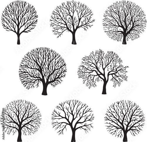 Tall Pine Tree in Forest Silhouette

Lone Pine on Mountain Vector Scene

Minimal Evergreen Tree Design

Rustic Pine Tree Line Art

Winter Pine Tree Silhouette