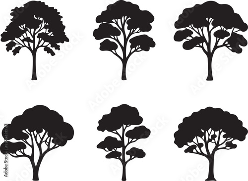 Tall Pine Tree in Forest Silhouette

Lone Pine on Mountain Vector Scene

Minimal Evergreen Tree Design

Rustic Pine Tree Line Art

Winter Pine Tree Silhouette