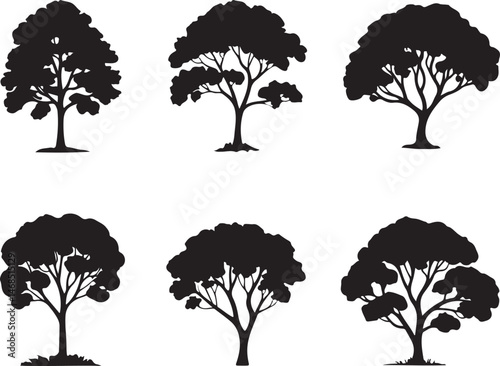 Tall Pine Tree in Forest Silhouette

Lone Pine on Mountain Vector Scene

Minimal Evergreen Tree Design

Rustic Pine Tree Line Art

Winter Pine Tree Silhouette