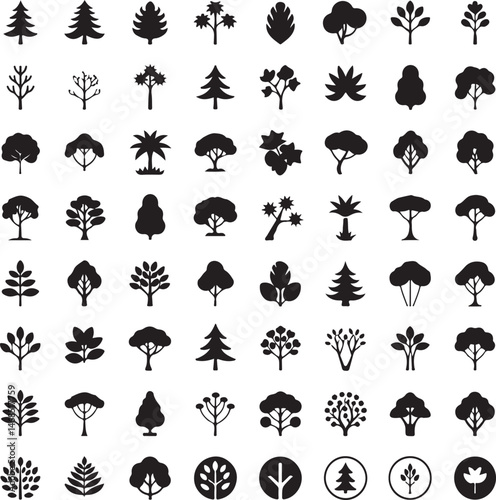 Tall Pine Tree in Forest Silhouette

Lone Pine on Mountain Vector Scene

Minimal Evergreen Tree Design

Rustic Pine Tree Line Art

Winter Pine Tree Silhouette