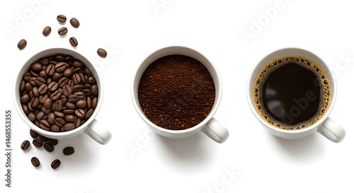 Coffee Process Stages