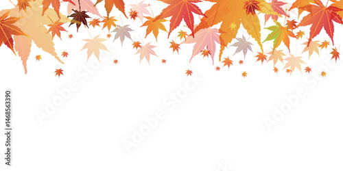 紅葉　もみじ　秋　背景	