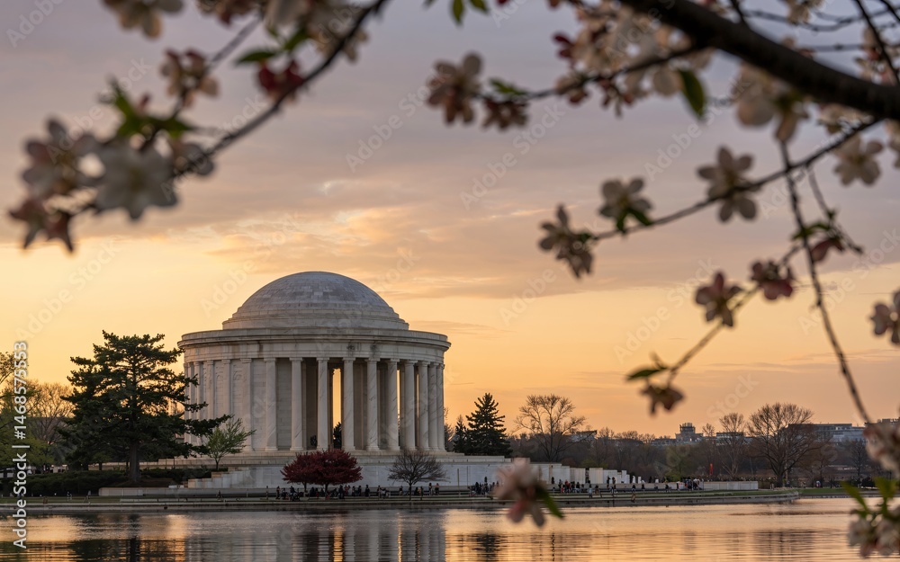 Obraz premium Paris, France ,Romantic Spring, Cherry blossoms frame Jefferson Memorial sunset