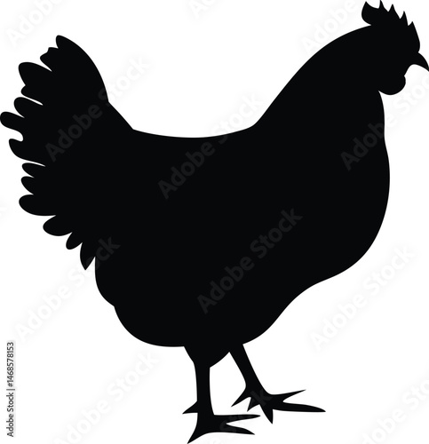 Chicken silhouette, hen silhouette vector