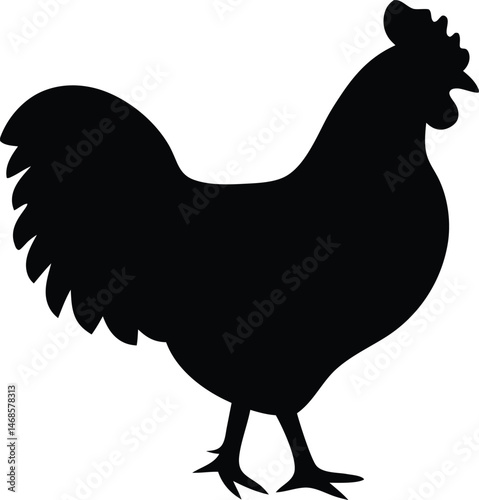 Chicken silhouette, hen silhouette vector