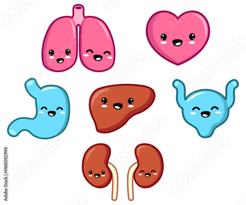 Human organs cute characters smiling heart, lung, bladder, liver, stomach illustration