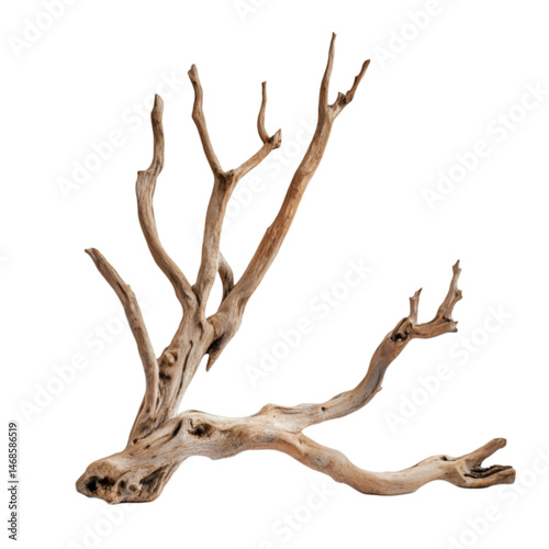 Driftwood branch art nature decor home decor