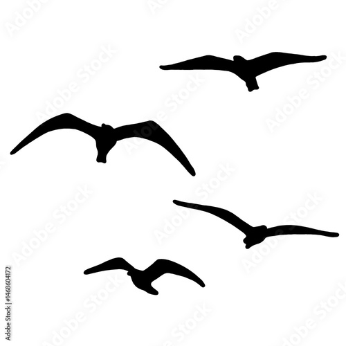 Silhouette Bird Illustration Set