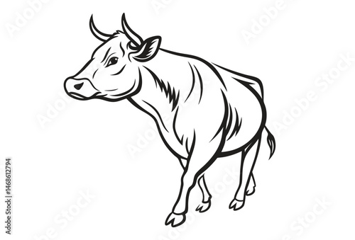 Line art vector bull cow on white background.