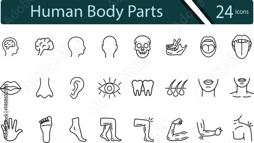 Minimalist Human Body Part Icons for Medical and Health Projects.