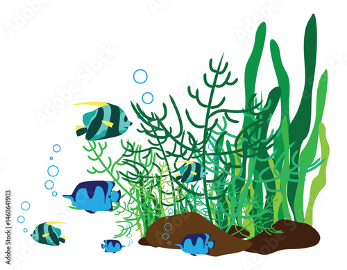 Tropical Fish and Coral Sea Plants - Ocean Theme Vector Illustration.