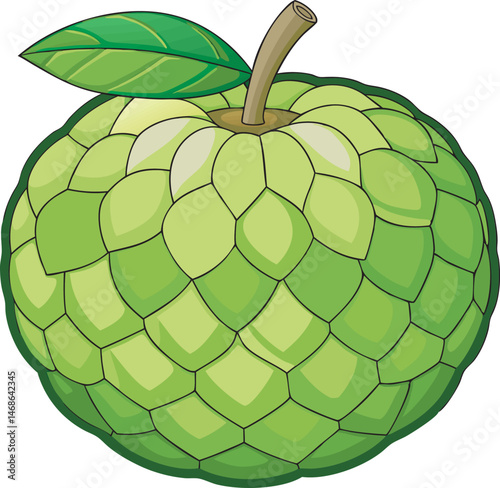 A vibrant vector art illustration of a sugar apple fruit, showcasing its textured green skin and juicy, segmented interior in vivid detail.