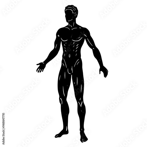 silhouette of a woman
