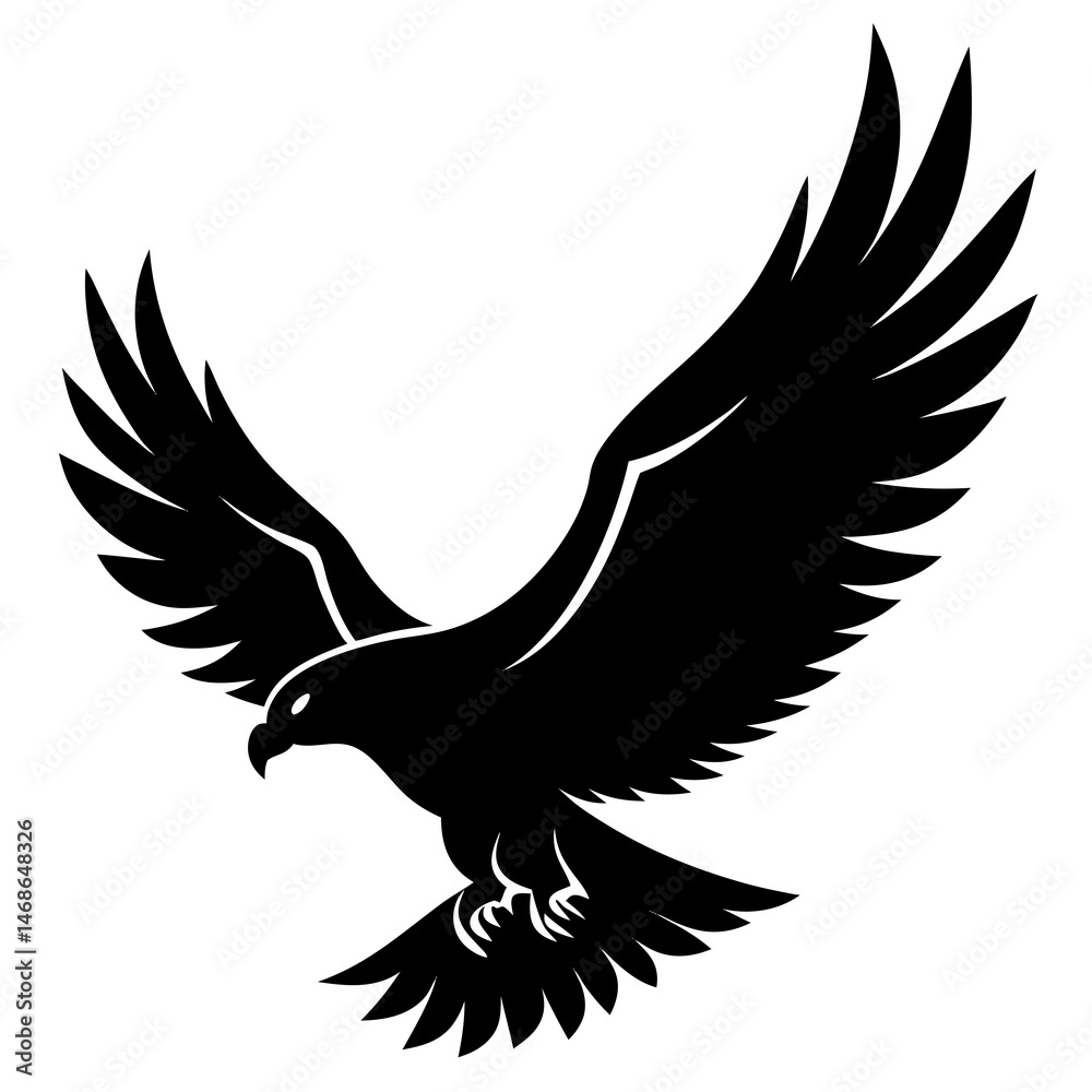 Fototapeta premium eagle in flight