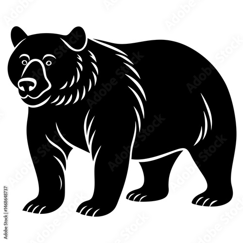 vector illustration of a bear