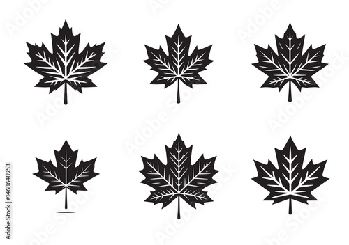 Canadian Maple Leaf Silhouette Vector Set