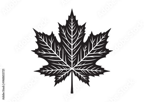 Silhouette Of Canadian Maple Leaf Vector