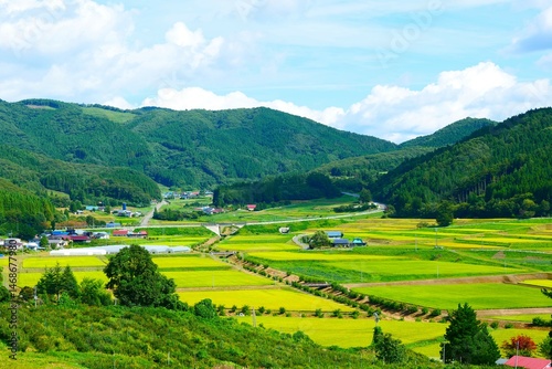 収穫の秋。遠野、岩手、日本。9月中旬。