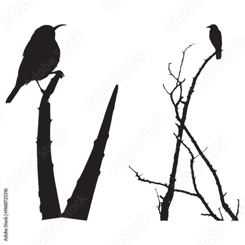 Nature-Inspired Bird Vector Design – Ideal for Wildlife and Nature-Themed Concepts .