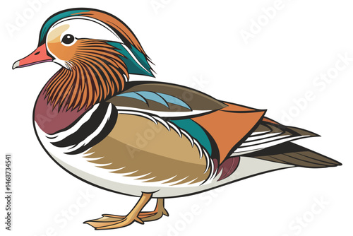 1 Mandarin duck, colorful plumage, detailed feathers, vibrant colors, orange beak, teal crest, white accent, brown body, intricate patterns, side view, realistic rendering, nature illustration, white 