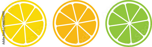 Citrus slice set. Lemon slice. Orange slice. Lime slice. Vector 