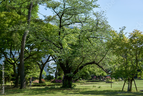 Kyu-Iwasaki-tei garden in Ueno, Tokyo