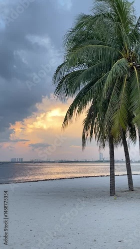 A wide white sand beach with a calm breeze and rows of coconut trees on a cloudy afternoon.