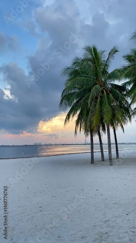 A wide white sand beach with a calm breeze and rows of coconut trees on a cloudy afternoon.