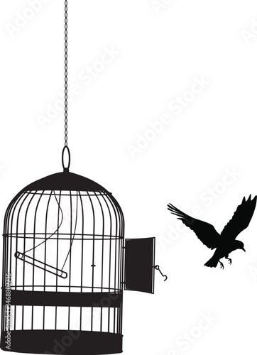 black bird flying away isolated on white.