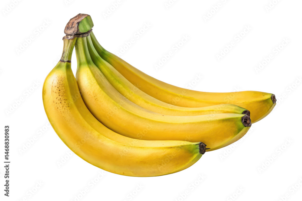 Fresh Ripe Bananas Cluster Isolated on White Background for Sale Fresh Ripe Bananas Cluster Isolated on White Background for Sale