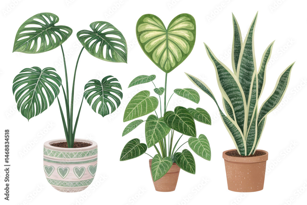 Fototapeta premium Diverse Indoor Plants with Decorative Pots for Home Decor