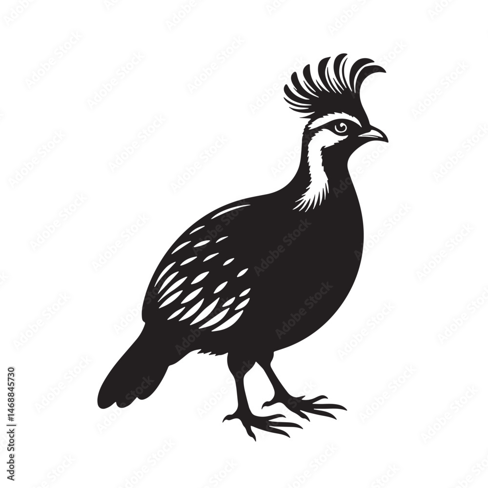 Crested Partridge Silhouette line art vector illustration on white background Crested Partridge Silhouette line art vector illustration on white background