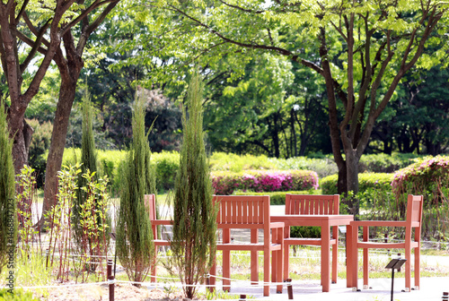 A resting area in a park. photo