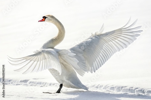 Swan With Wings Spread in Serene White Background Generative AI