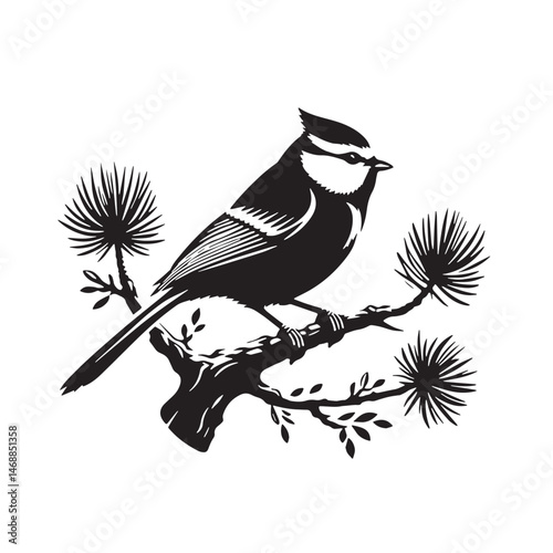 Eurasian Blue Tit Silhouette line art vector illustration on white background