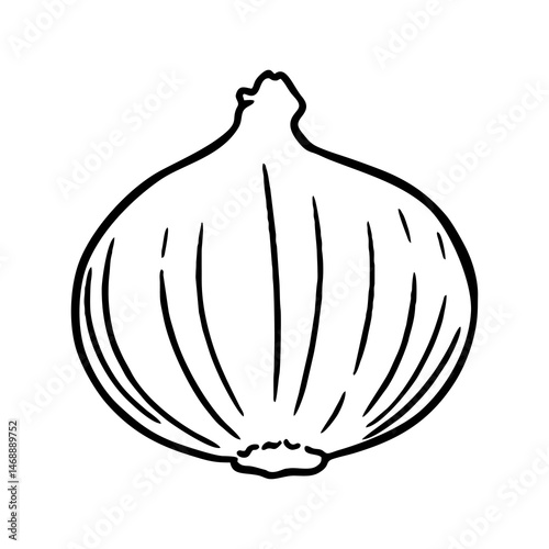 onion lineart illustration