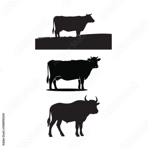 black and white cows set