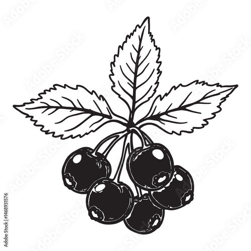 Minimalistic Sea Buckthorn line art with organic shapes