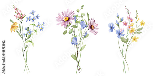 Set watercolor flowers painting, floral vintage bouquets illustrations with wildflowers and leaves. Decoration for poster, greeting card, birthday, wedding design. Isolated on white background.