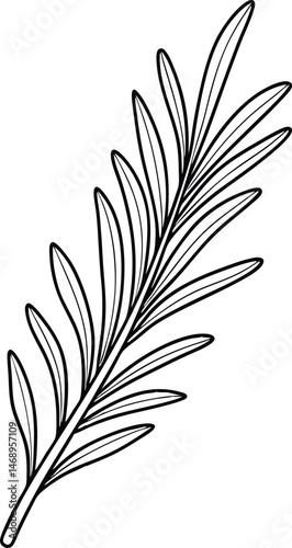 “Botanical Leaf Silhouette Vector Black and White botanical leaf, palm frond