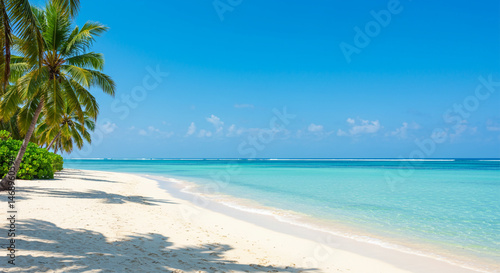 A Tropical Paradise Beach with Clear Water and Palms.eps