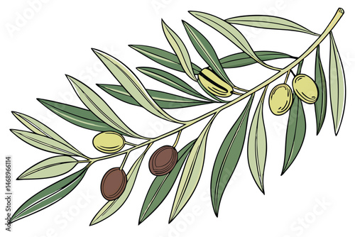 170 olive branch, realistic botanical illustration, detailed leaves, detailed olives, vibrant colors, intricate details, digital art, high resolution