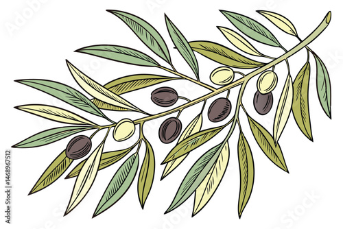 170 olive branch, realistic botanical illustration, detailed leaves, detailed olives, vibrant colors, intricate details, digital art, high resolution