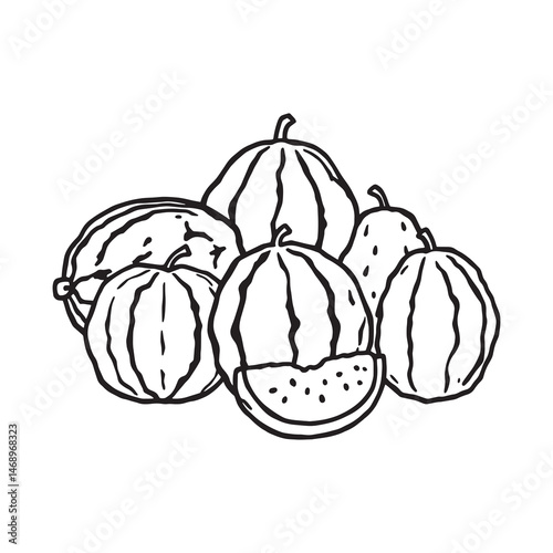 Watermelon slice line art vector drawing for fresh fruit design
