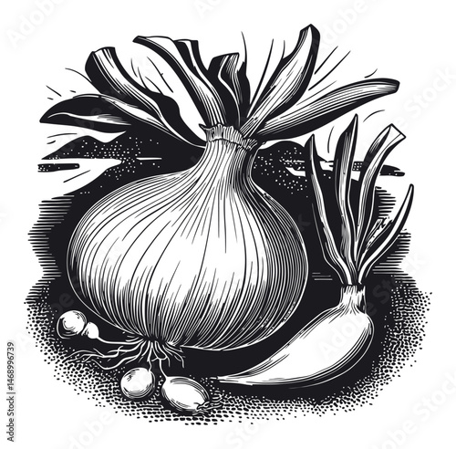Vintage Style Vector Illustration of Fresh Onions for Culinary Design